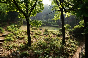 반주골 이승훈 베드로 묘 전경. 이승훈의 유해는 1981년 천진암의 한국 천주교회 창립 선조 묘역으로 이장되었다.