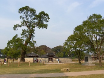 해미읍성의 호야나무와 복원된 옥사 모습.