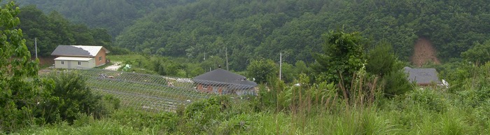 왕피리 교우촌터에서 내려다 본 갈전마을. 현재 이곳에는 왕피천 유역 생태경관 보전지역 감시원 집과 한 두 집 정도가 더 있다.