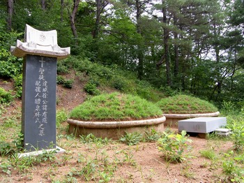 양범리 마을 북서쪽에 있는 서유도와 부인 예천 임씨 묘.